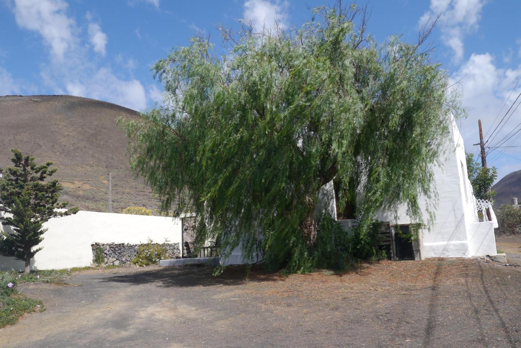Casa Olga Villa Máguez Buitenkant foto