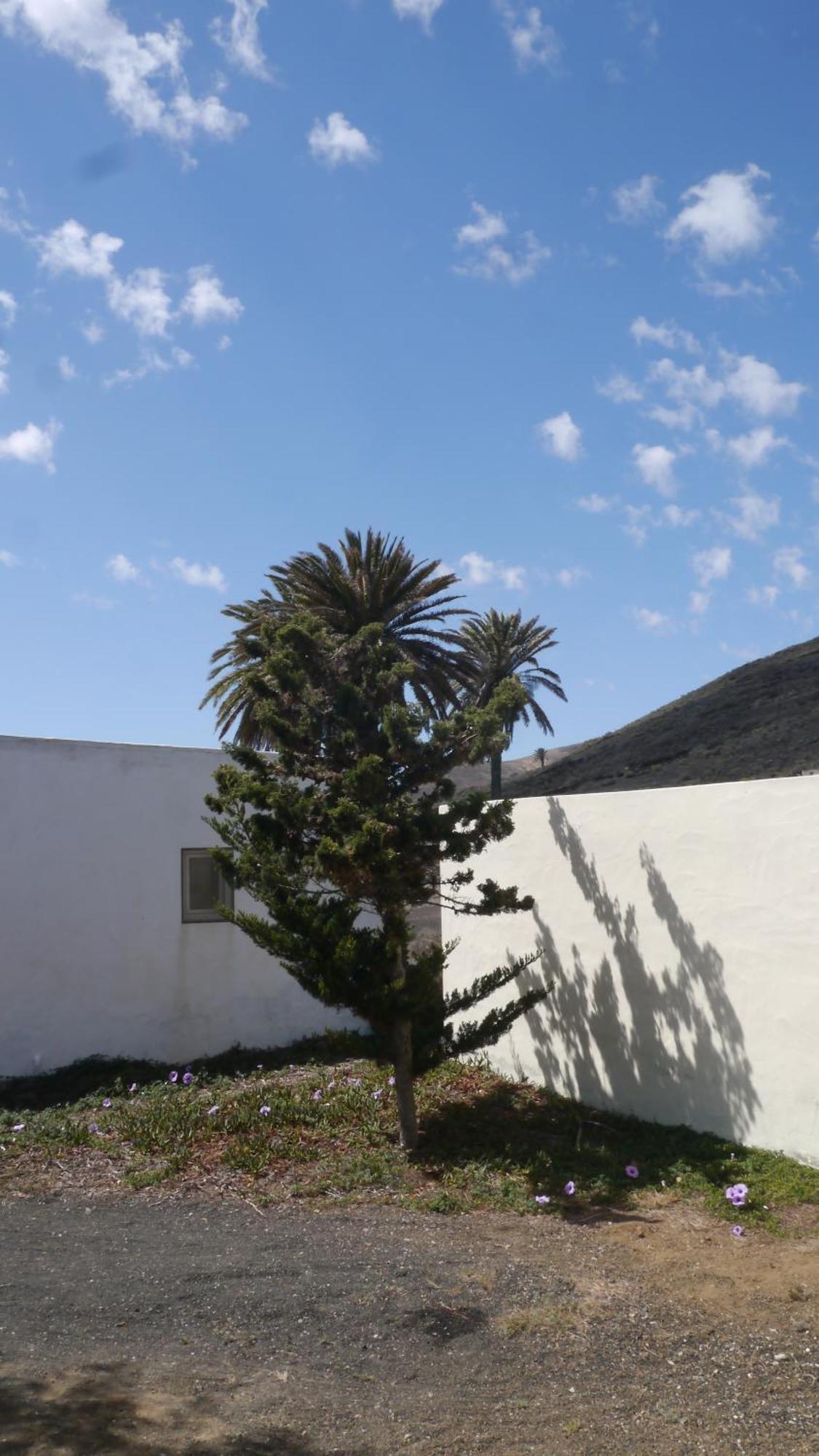 Casa Olga Villa Máguez Buitenkant foto
